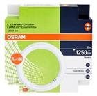 OSRAM NEON CIRCOLINA 22W/840